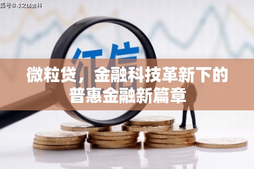 秀山微粒贷，金融科技革新下的普惠金融新篇章