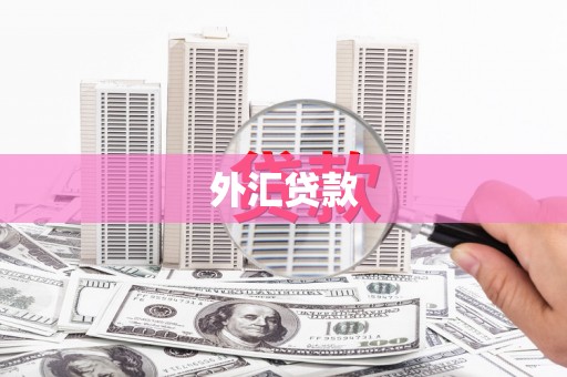 秀山外汇贷款