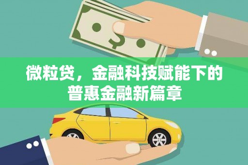 秀山微粒贷，金融科技赋能下的普惠金融新篇章