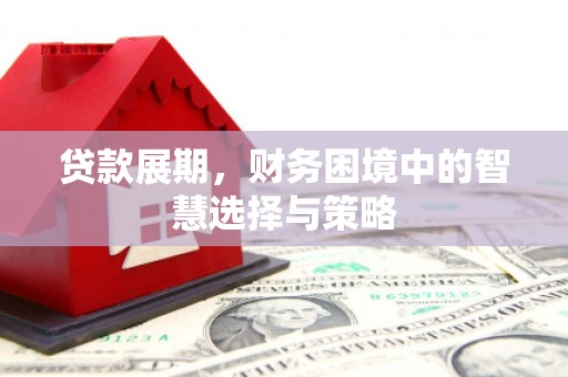 秀山贷款展期，财务困境中的智慧选择与策略