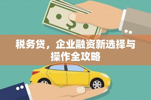 秀山税务贷，企业融资新选择与操作全攻略