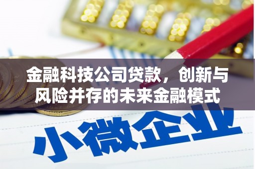 秀山金融科技公司贷款，创新与风险并存的未来金融模式
