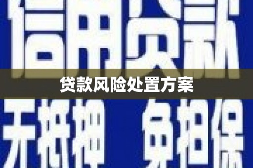 秀山贷款风险处置方案