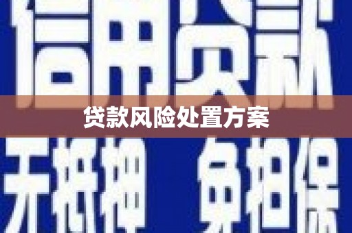 秀山贷款风险处置方案
