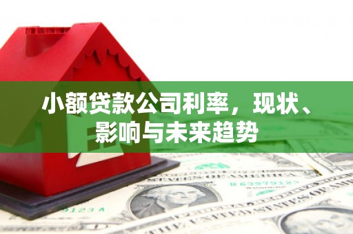 秀山小额贷款公司利率，现状、影响与未来趋势