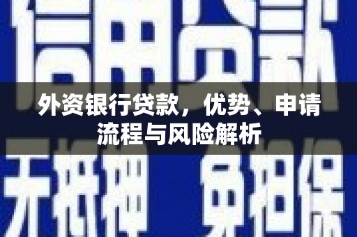 秀山外资银行贷款，优势、申请流程与风险解析