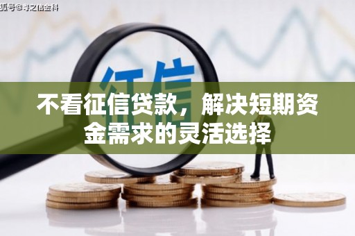秀山不看征信贷款，解决短期资金需求的灵活选择