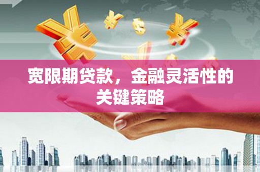 秀山宽限期贷款，金融灵活性的关键策略