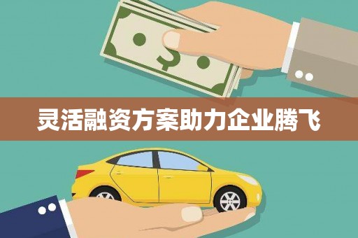 秀山灵活融资方案助力企业腾飞