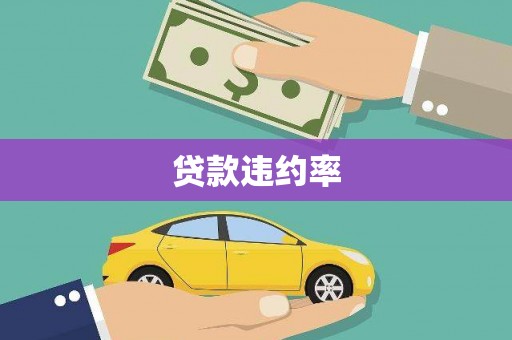 秀山贷款违约率