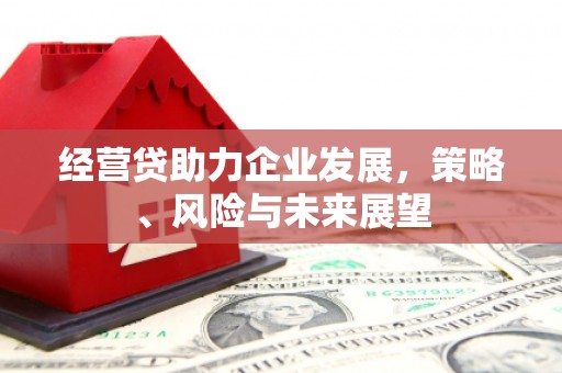 秀山经营贷助力企业发展，策略、风险与未来展望