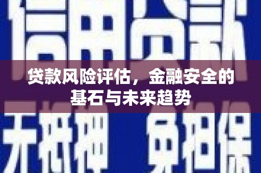 秀山贷款风险评估，金融安全的基石与未来趋势