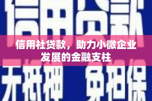秀山信用社贷款，助力小微企业发展的金融支柱