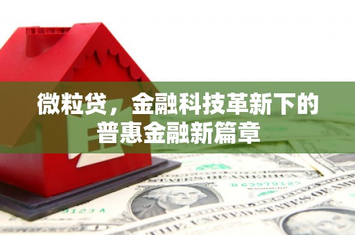 秀山微粒贷，金融科技革新下的普惠金融新篇章