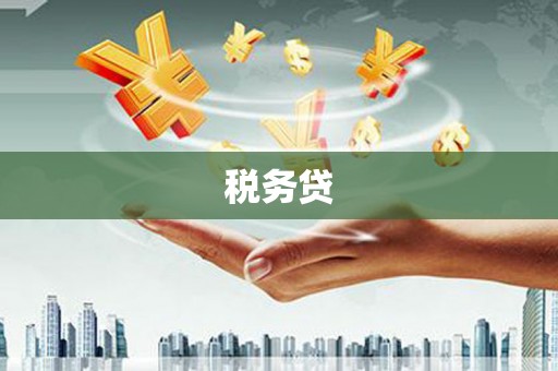 秀山税务贷
