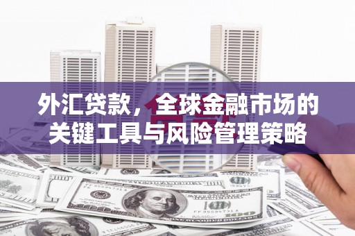 秀山外汇贷款，全球金融市场的关键工具与风险管理策略