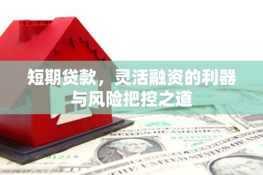 秀山短期贷款，灵活融资的利器与风险把控之道