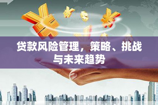 秀山贷款风险管理，策略、挑战与未来趋势