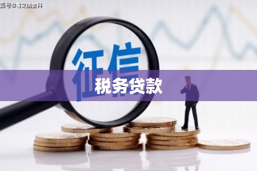 秀山税务贷款