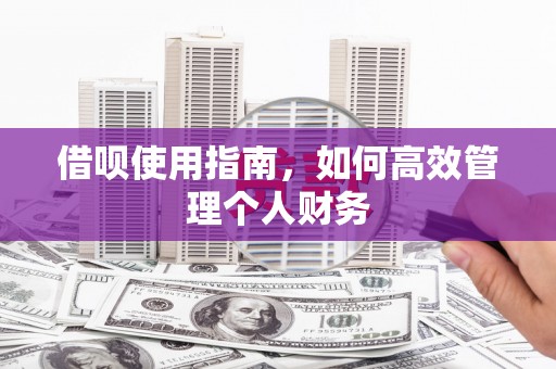 秀山借呗使用指南，如何高效管理个人财务