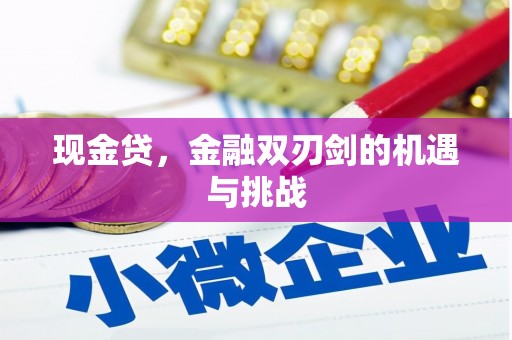秀山现金贷，金融双刃剑的机遇与挑战