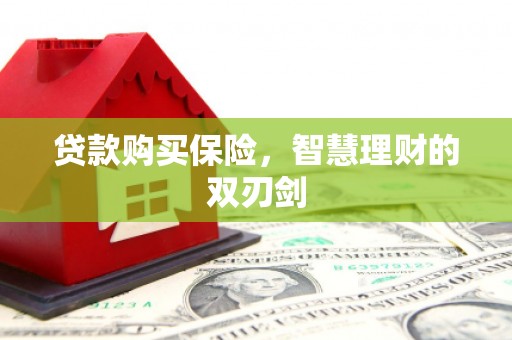 秀山贷款购买保险，智慧理财的双刃剑