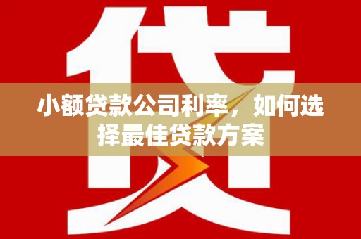 秀山小额贷款公司利率，如何选择最佳贷款方案