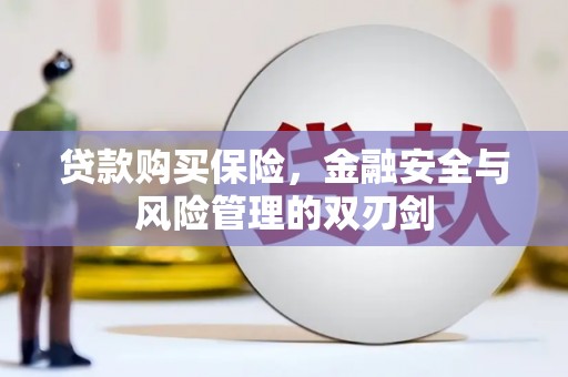 秀山贷款购买保险，金融安全与风险管理的双刃剑