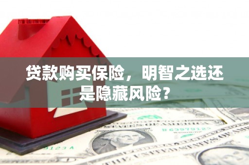 秀山贷款购买保险，明智之选还是隐藏风险？