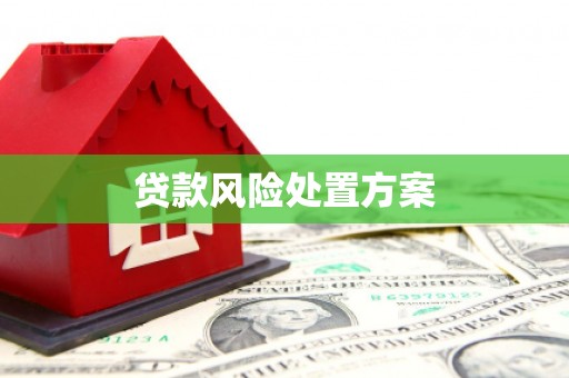 秀山贷款风险处置方案