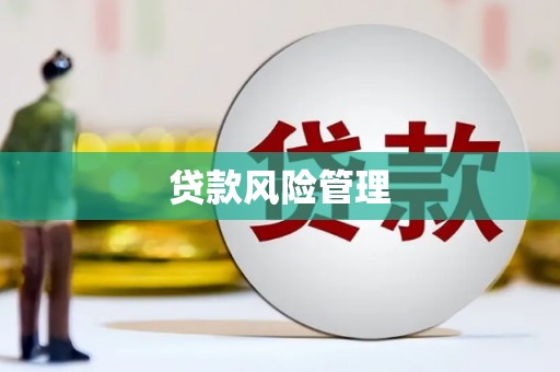 秀山贷款风险管理