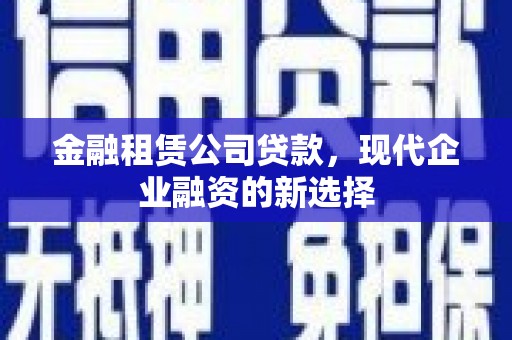 秀山金融租赁公司贷款，现代企业融资的新选择