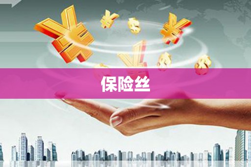 秀山保险丝