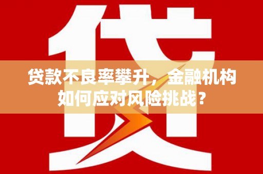 秀山贷款不良率攀升，金融机构如何应对风险挑战？