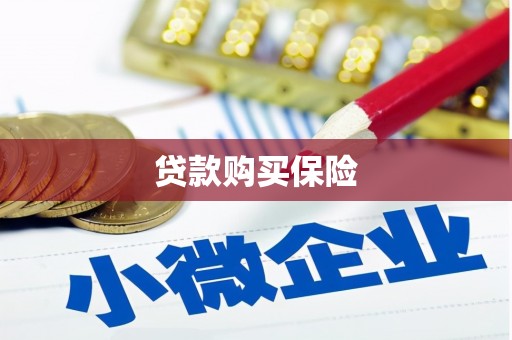 秀山贷款购买保险