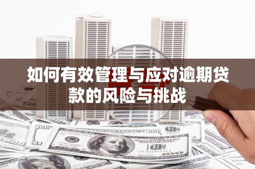 秀山如何有效管理与应对逾期贷款的风险与挑战
