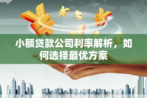 秀山小额贷款公司利率解析，如何选择最优方案