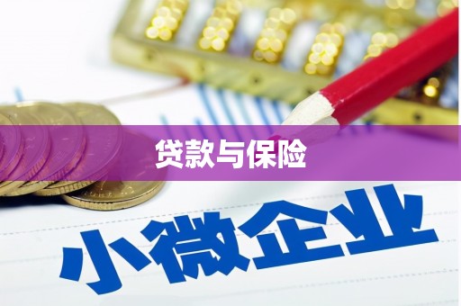 秀山贷款与保险