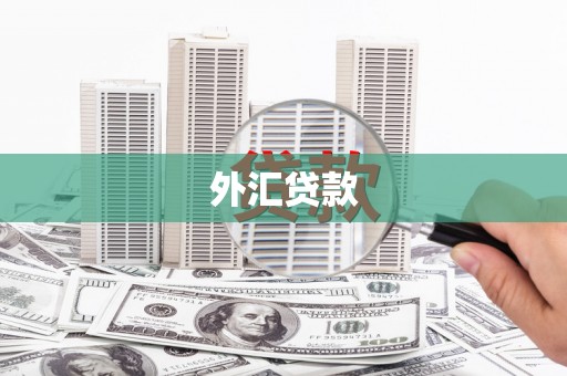 秀山外汇贷款