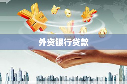 秀山外资银行贷款