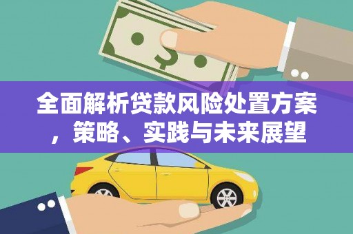 秀山全面解析贷款风险处置方案，策略、实践与未来展望