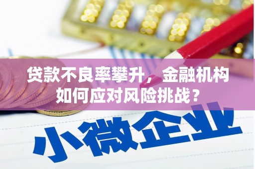 秀山贷款不良率攀升，金融机构如何应对风险挑战？