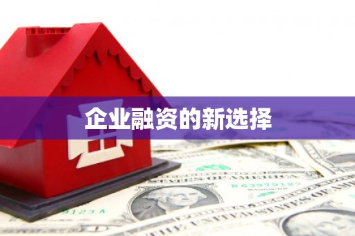 秀山企业融资的新选择