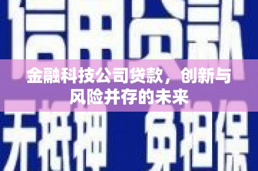 秀山金融科技公司贷款，创新与风险并存的未来
