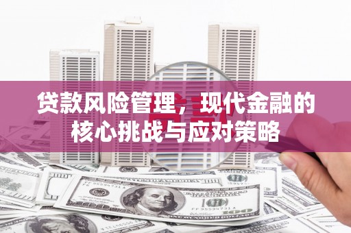 秀山贷款风险管理，现代金融的核心挑战与应对策略