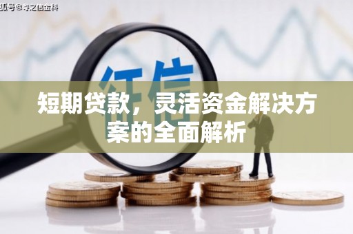 秀山短期贷款，灵活资金解决方案的全面解析