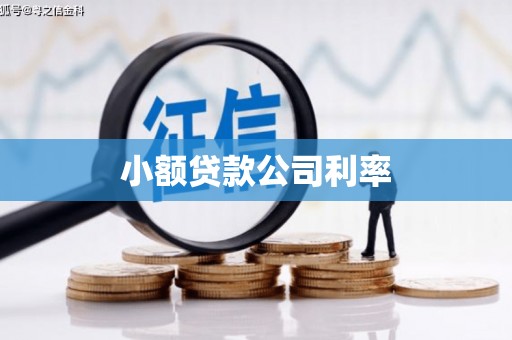 秀山小额贷款公司利率