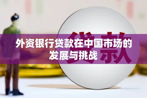秀山外资银行贷款在中国市场的发展与挑战