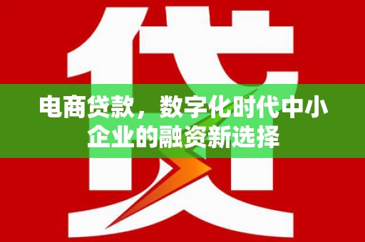 秀山电商贷款，数字化时代中小企业的融资新选择