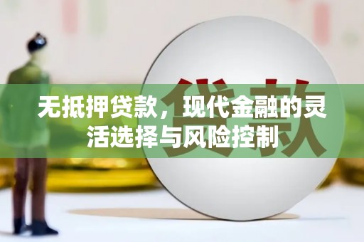 秀山无抵押贷款，现代金融的灵活选择与风险控制
